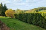 Einfamilienhaus Bad Alexandersbad - 320.000&euro; | Angebot:26613873