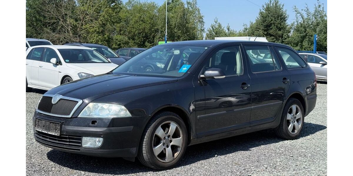 Skoda Octavia 294.180 km 799 &euro; Schleifreisen 07629