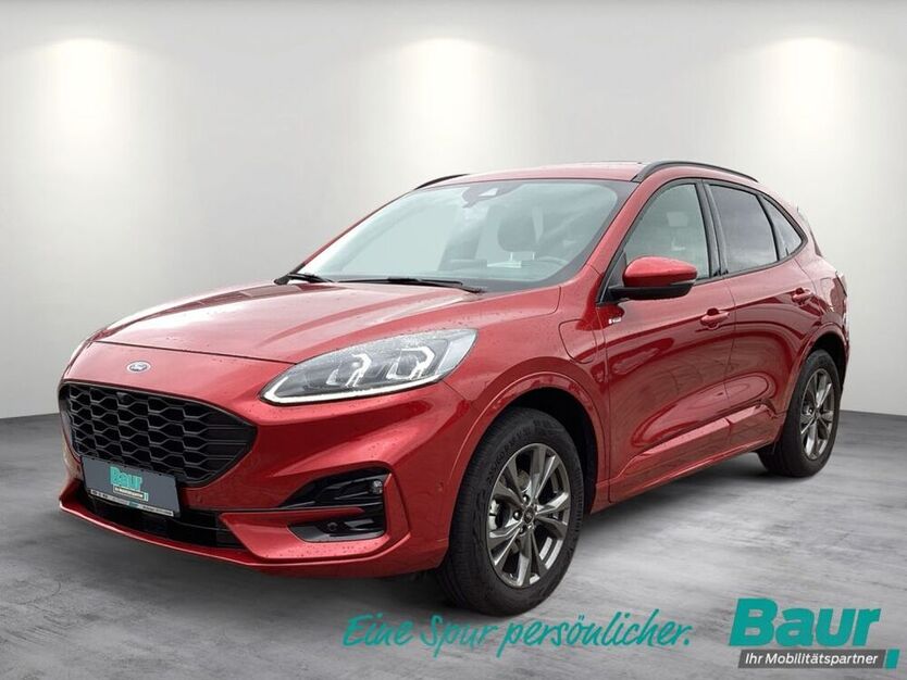Kuga