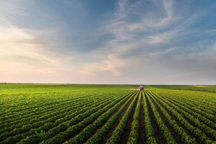 Grundstück in Straubing 68.310 € 7590 m² zimmer