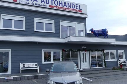 Skoda Fabia 130.000 km 8.000 € Magdeburg 39108