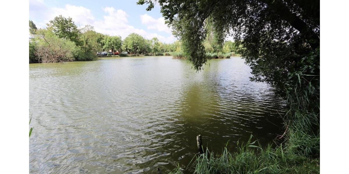 Zweifamilienhaus direkt am Leipziger Teich - Garten - Garage - Gasbrennwerttherme von 2016 7 zimmer