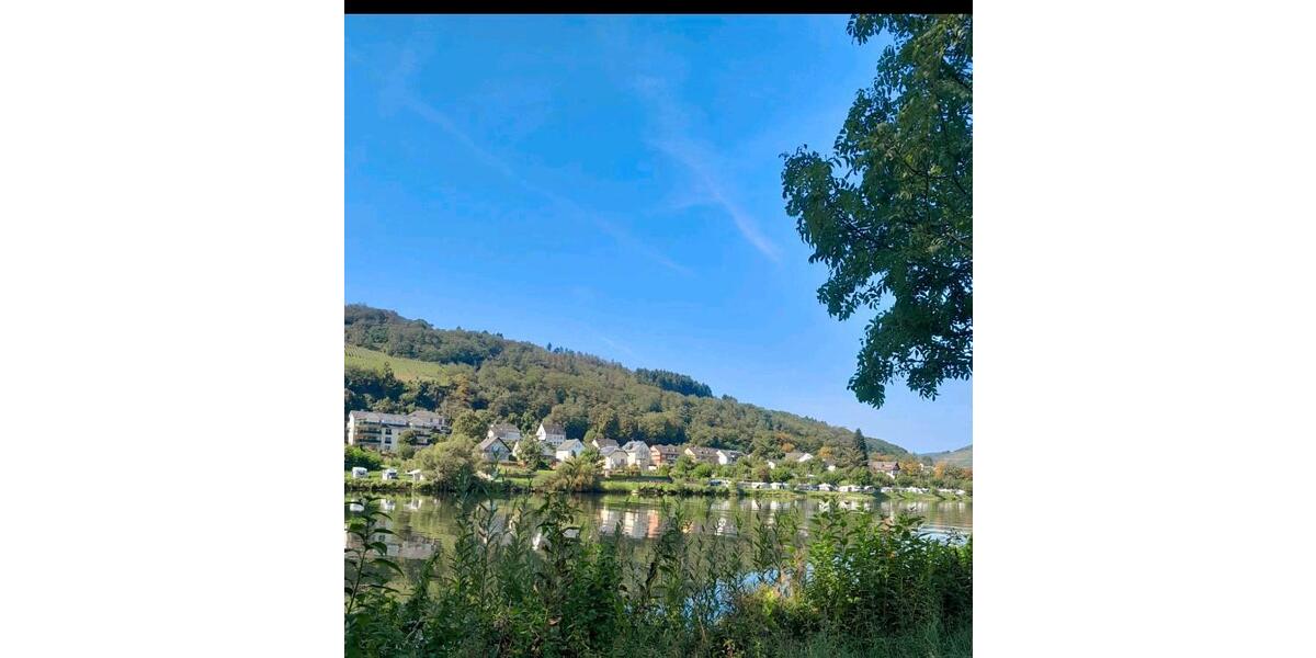 Mehrfamilienhaus, Wohnhaus Zell (Mosel) - 10 Zimmer, 400 m&sup2;, 87.000&euro; | Angebot:27143077