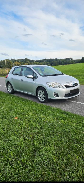 Auris