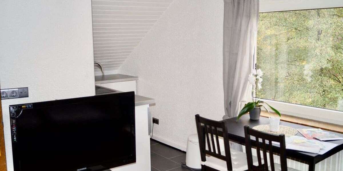 Wohnen auf Zeit in Kaiserslautern 1.600 € 1 zimmer