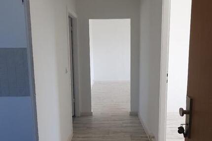 Wohnung Seehausen (Altmark) - 3 Zimmer, 61 m&sup2;, 310&euro; | Angebot:24491356
