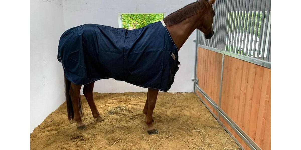 Gewerbeobjekt Jork - 420&euro; | Angebot:24317670