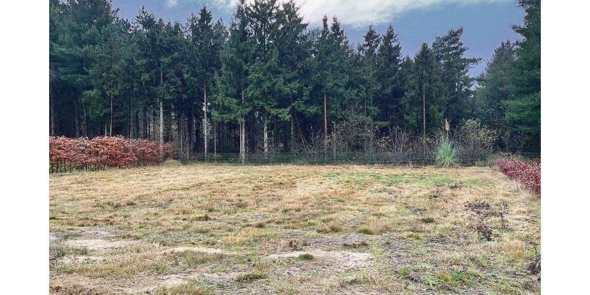 Bungalow Wielen - 5 Zimmer, 187 m&sup2;, 529.000&euro; | Angebot:25687262