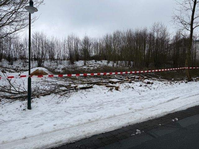 Grundstück Wittenbeck - 980.000&euro; | Angebot:25820276