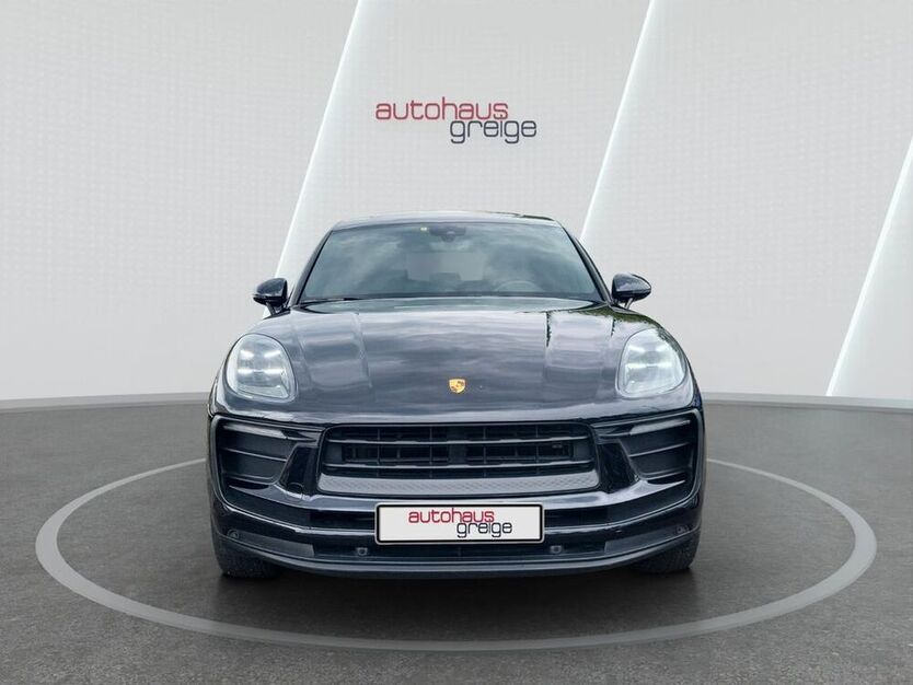 Macan