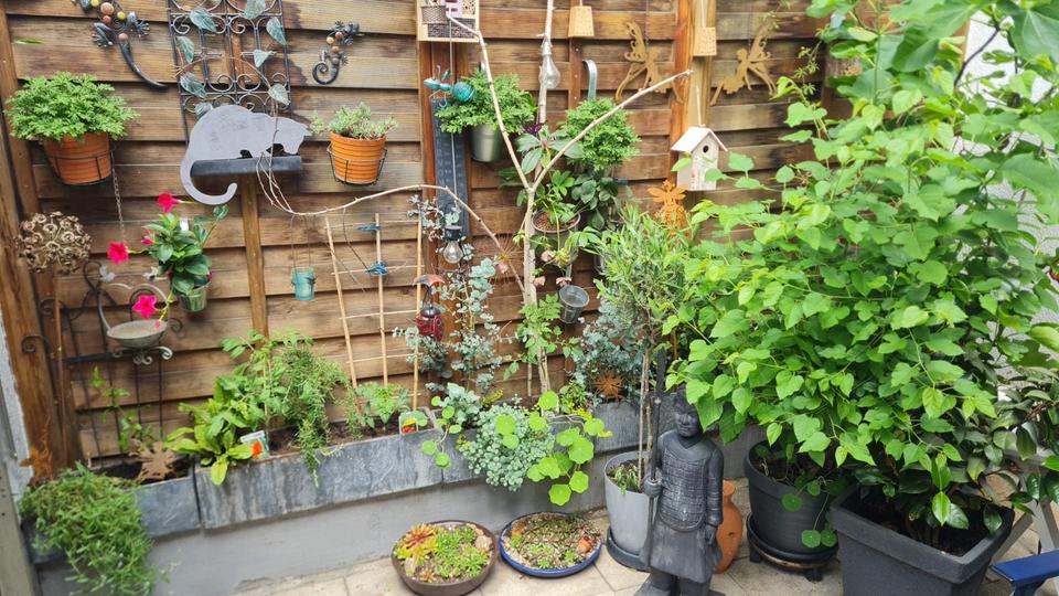 Einfamilienbungalow mit Einliegerwohnung in Kornwestheim zimmer