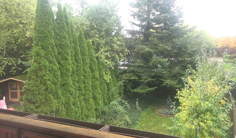 #VERMIETET# Charmantes Reihenmittelhaus mit Gestaltungsspielraum 5 zimmer