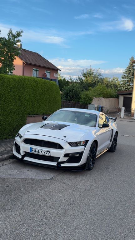 Mustang