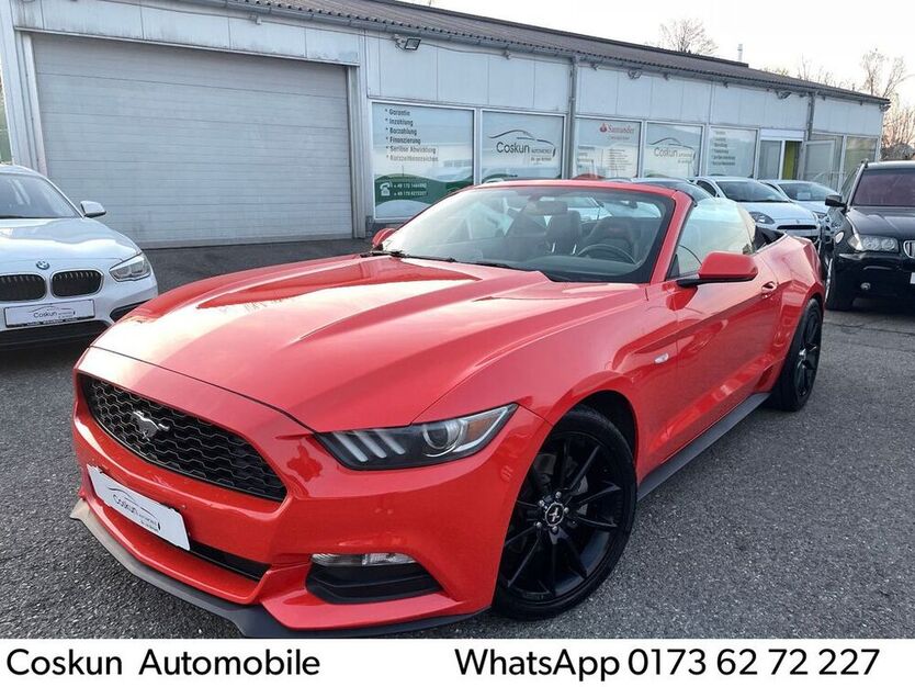 Mustang