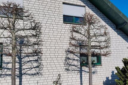 Haus Sonsbeck - 5 Zimmer, 160 m&sup2;, 1.300&euro; | Angebot:25612016