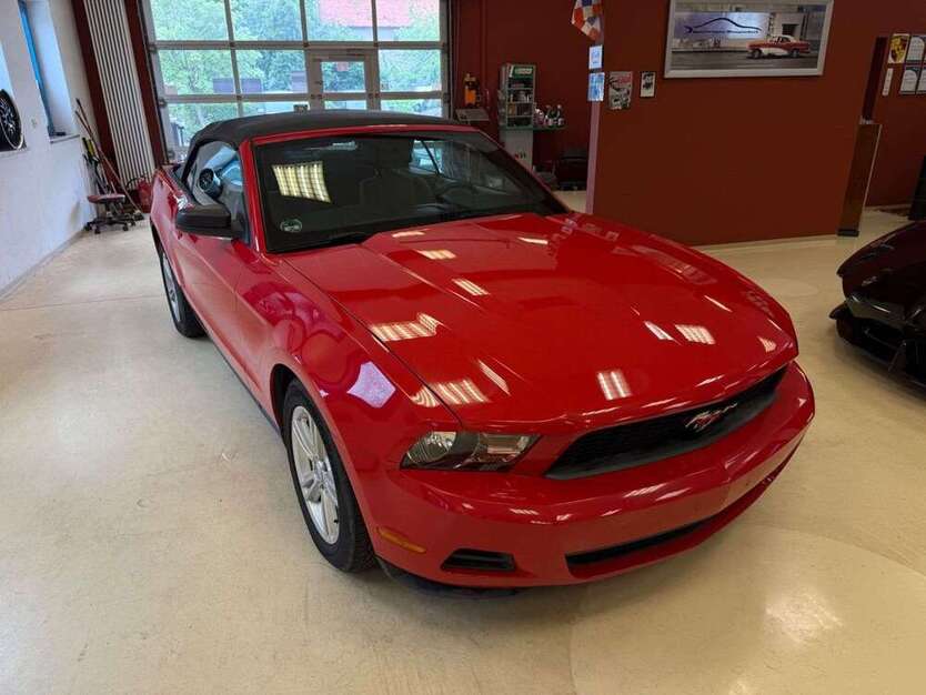 Mustang