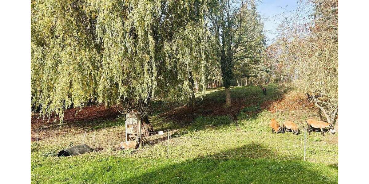 Einfamilienhaus Seegebiet Mansfelder Land Hornburg - 4 Zimmer, 115 m&sup2;, 1.100&euro; | Angebot:26358741