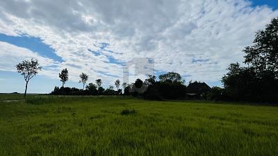LEBEN IN DER NATUR AN DER NORDSEEKÜSTE - Grundstück Wesselburenerkoog | Angebot:25278697