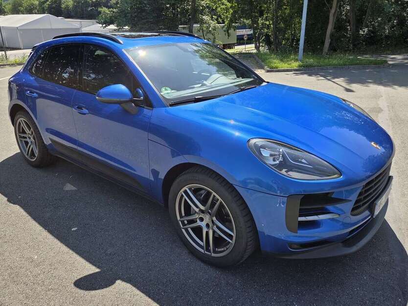 Macan