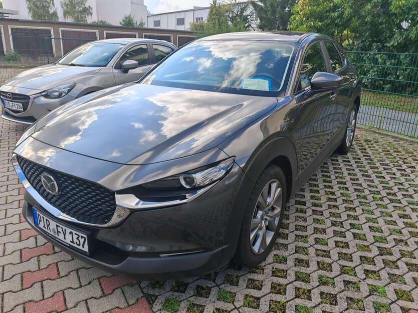 CX-30