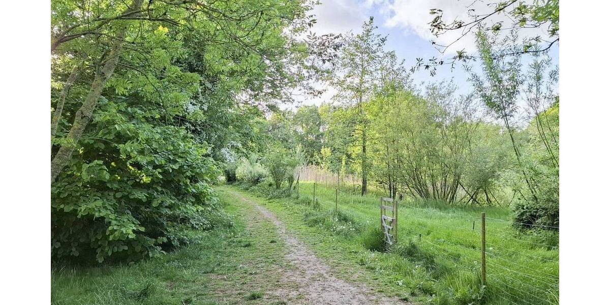 Einfamilienhaus Neukirchen - 7 Zimmer, 398.000&euro; | Angebot:26307621
