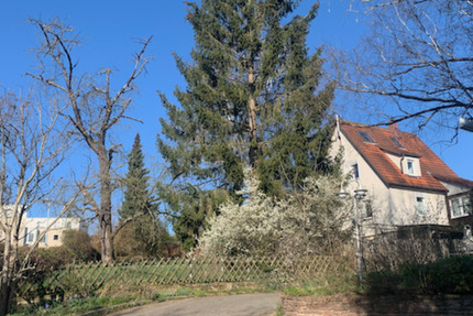 Haus statt Wohnung mieten - Renoviertes EFH mit grossem Garten 4 zimmer