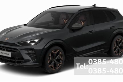 Cupra Terramar 12.700 km 41.990 &euro; Schwerin 19057