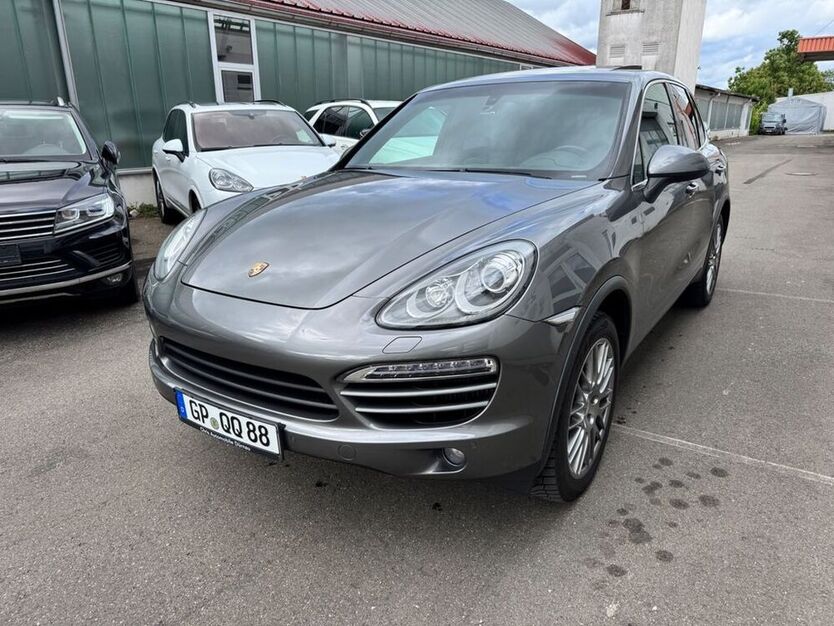 Cayenne