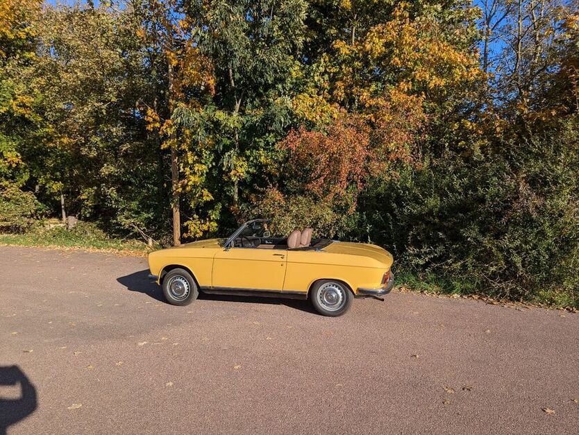 304