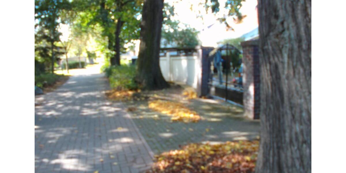 Einfamilienhaus Altdöbern - 3 Zimmer, 60 m&sup2;, 450&euro; | Angebot:24805516