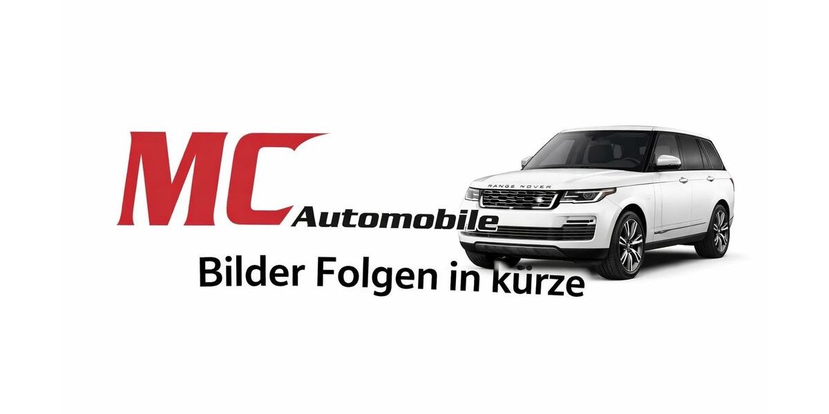 Ford Fiesta 181.000 km 2.490 &euro; Bous 66359