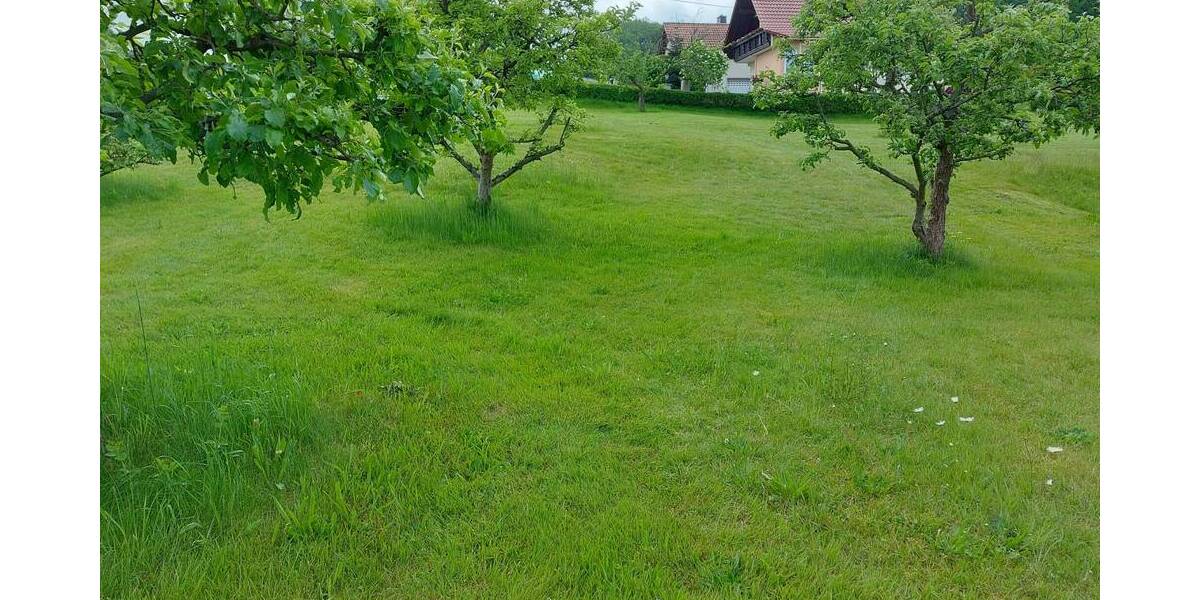 Grundstück Steina - 190.000&euro; | Angebot:25802404