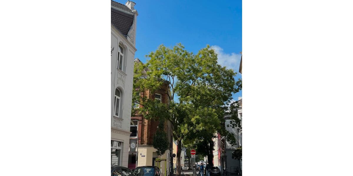 Dachgeschoßwohnung Köln Ehrenfeld - 2 Zimmer, 50 m&sup2;, 1.200&euro; | Angebot:26664016