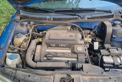 VW Golf