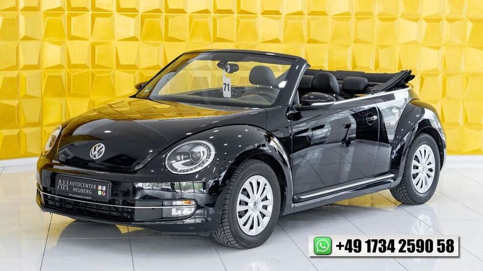 Beetle