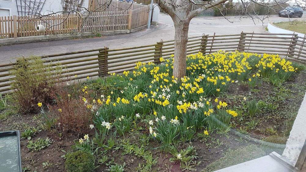 Mehrfamilienhaus, Wohnhaus Eichstätt Landershofen - 9 Zimmer, 232 m&sup2;, 610.000&euro; | Angebot:25934075