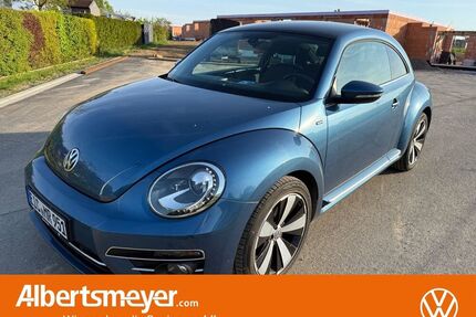 VW Beetle