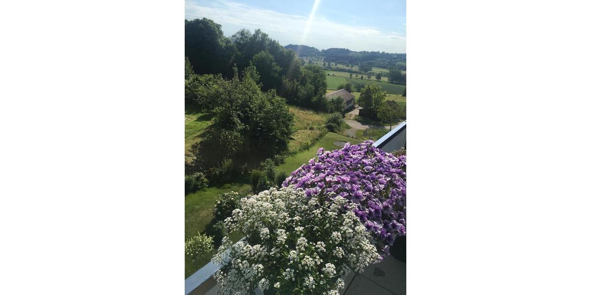 Dachgeschoßwohnung Bodnegg - 4 Zimmer, 90 m&sup2;, 390.000&euro; | Angebot:26864808