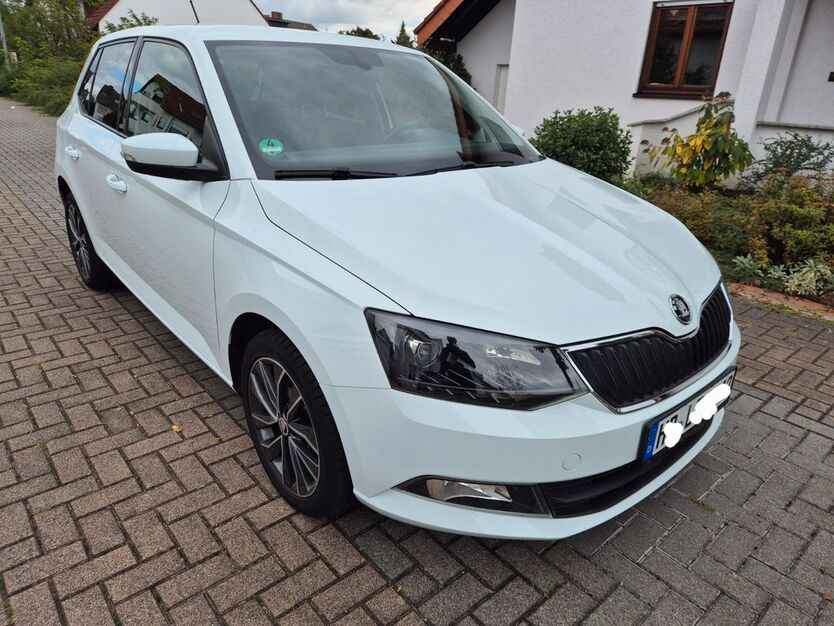 Skoda Fabia 99.600 km 10.500 € Sandhausen 69207