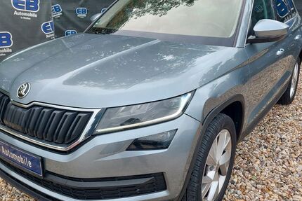 Skoda Kodiaq 99.000 km 23.333 € Bitterfeld-Wolfen OT Wolfen 06766