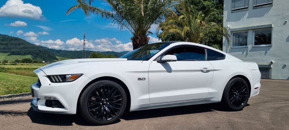 Mustang