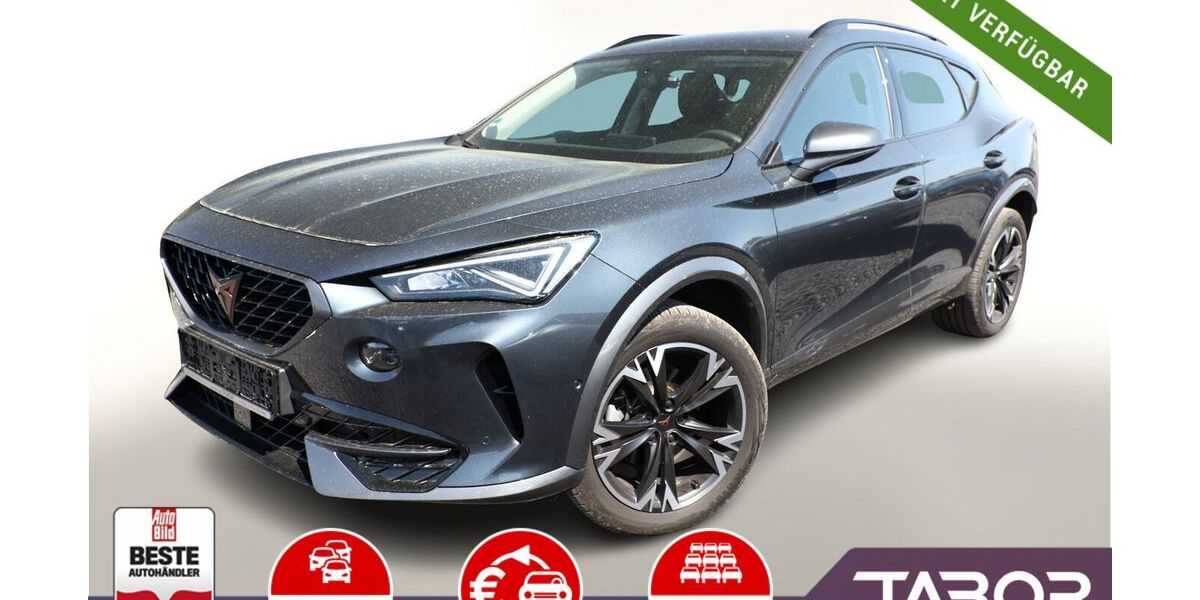 Cupra Formentor 18.150 km 25.988 &euro; Kehl 77694