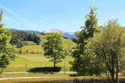 Haus Oberstaufen - 7 Zimmer, 240 m&sup2;, 799.000&euro; | Angebot:26283543