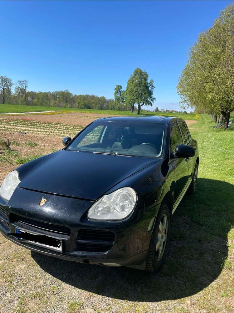 Cayenne
