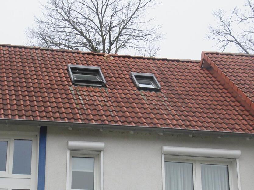 Bad Zwischenahn - 2 Zimmer Küche Bad Wohnung im Erdgeschoss zimmer