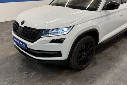 Skoda Kodiaq 140.000 km 24.499 € Delbrück 33129