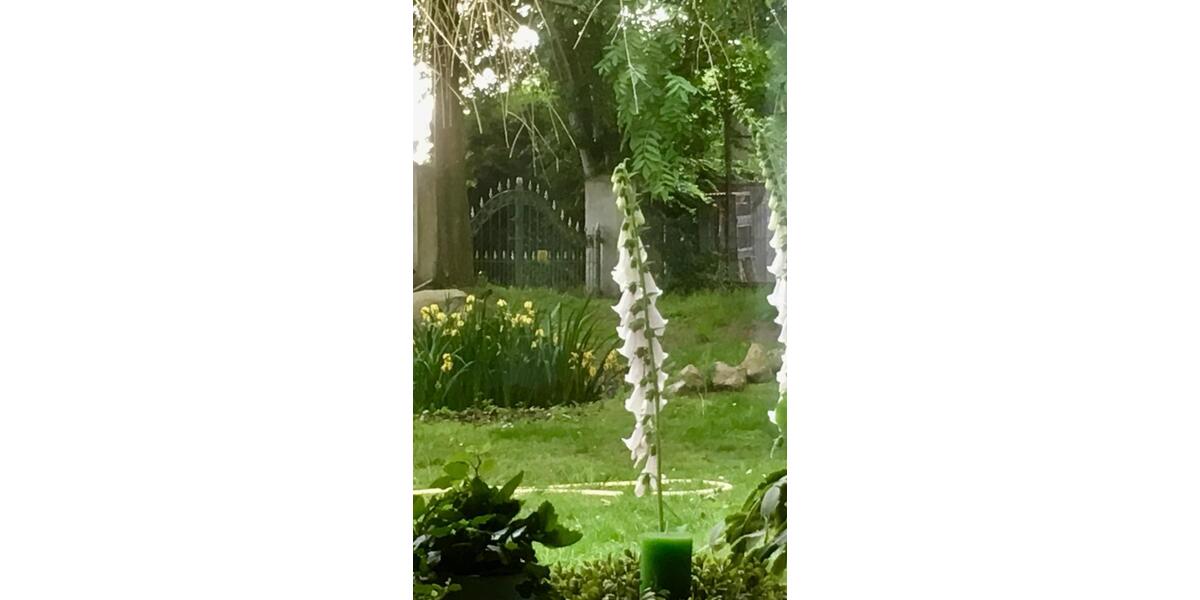 Helle 2- Zimmerwohnung & Abstellraum in Neustadt OT Hagen 2 zimmer