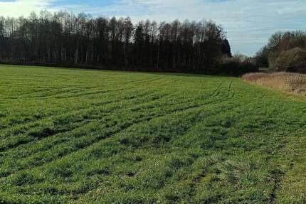 Grundstück in Blönried 77.000 € 17465 m² zimmer