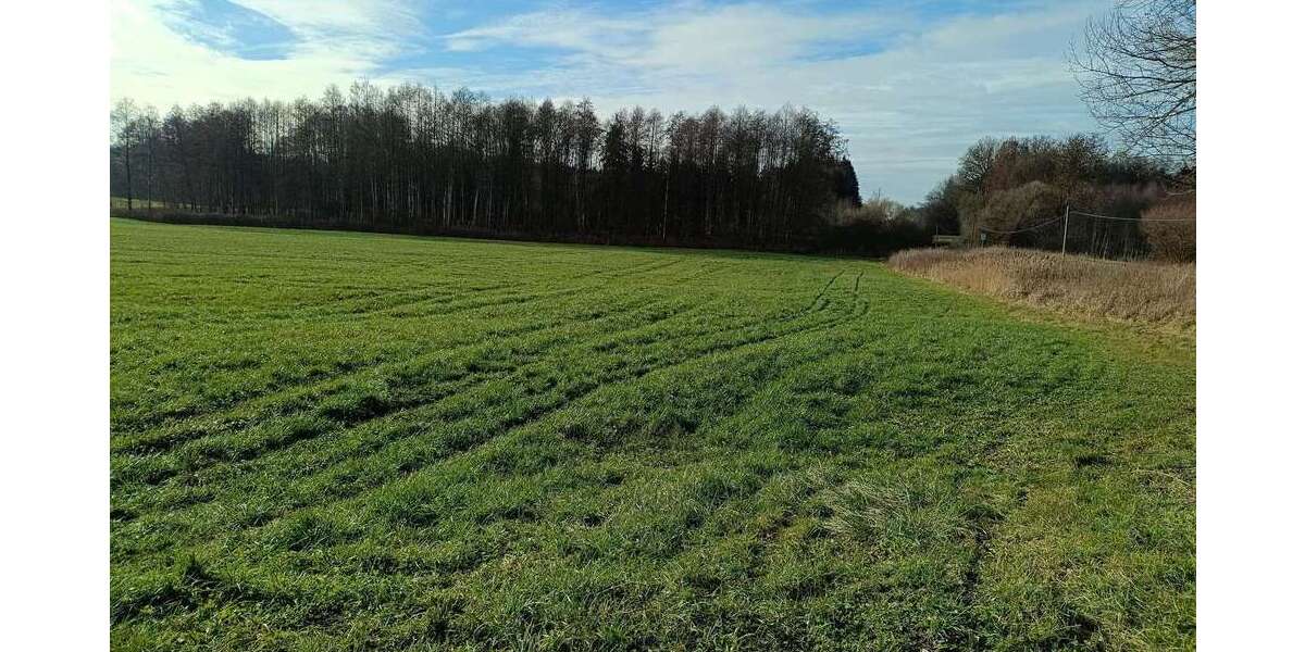 Grundstück in Blönried 77.000 € 17465 m² zimmer