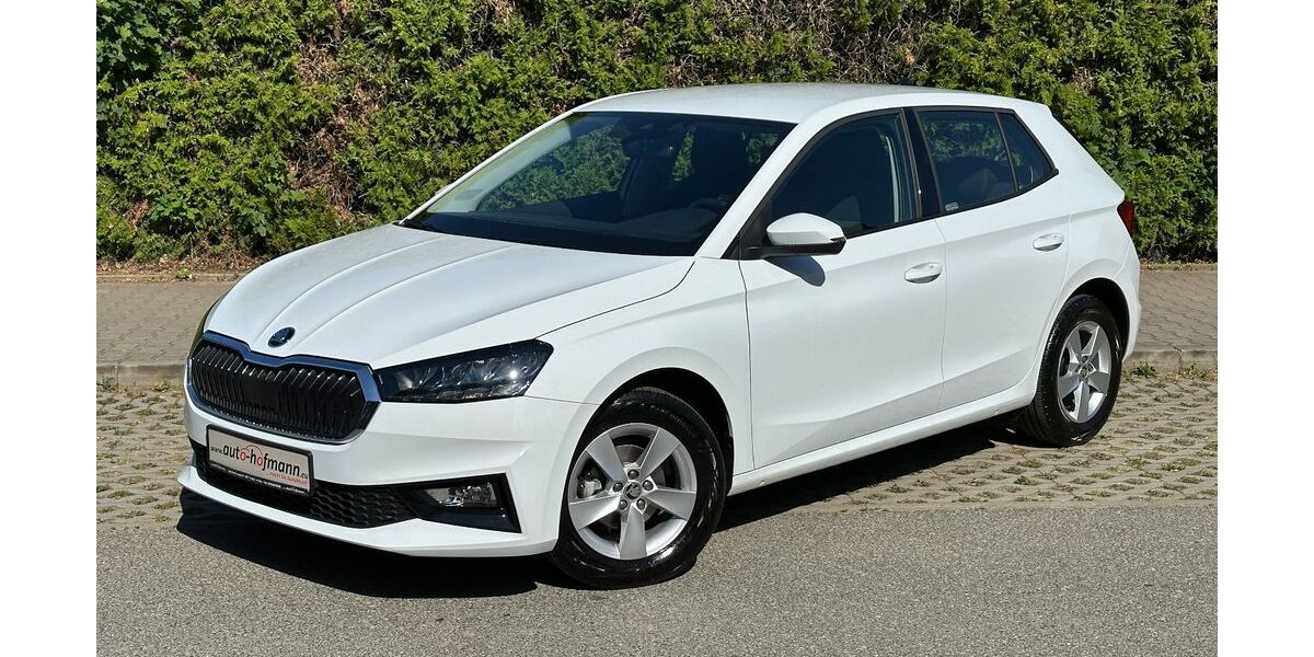 Skoda Fabia 5.712 km 16.930 &euro; Wallenfels 96346